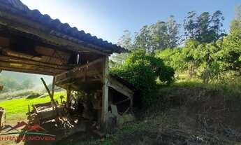 Imagem 5: CHACARA RURAL em LINHA NOVA - RS, Roseiral