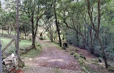 Imagem 4: CHACARA RURAL em SANTA MARIA DO HERVAL - RS, Baixo morro dos Bugres