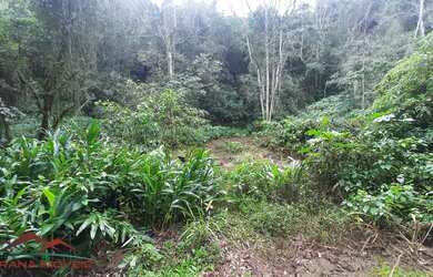 Imagem 6: AREA RURAL em LINHA NOVA - RS, Morro Grande