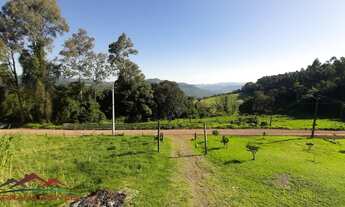 Imagem: AREA RURAL em NOVA PETRÓPOLIS - RS, Pinhal