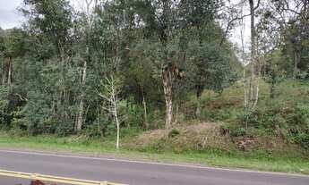 Imagem 5: TERRENO RESIDENCIAL em PICADA CAFÉ - RS, Centro