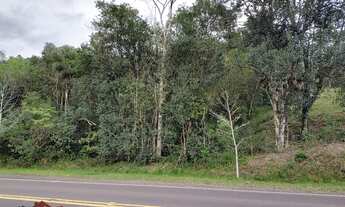 Imagem 7: TERRENO RESIDENCIAL em PICADA CAFÉ - RS, Centro