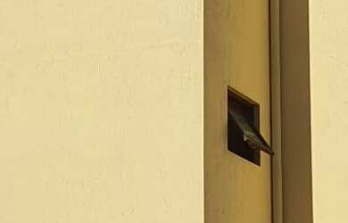 Imagem 2: APARTAMENTO RESIDENCIAL em NOVA PETRÓPOLIS - RS, Pousada da Neve