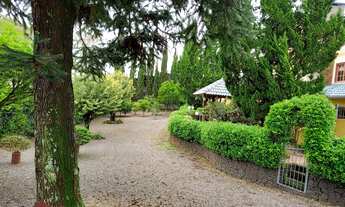 Imagem 2: TERRENO RESIDENCIAL em NOVA PETRÓPOLIS - RS, Juriti