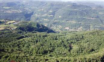 Imagem: AREA RURAL em NOVA PETRÓPOLIS - RS, Linha