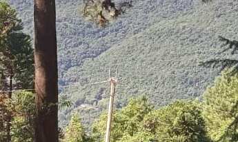 Imagem 7: AREA RURAL em NOVA PETRÓPOLIS - RS, Linha Brasil