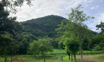 Imagem: CHACARA RURAL em PICADA CAFÉ - RS, Jammerthal