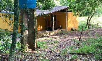 Imagem 7: CHACARA RURAL em PICADA CAFÉ - RS, Jammerthal