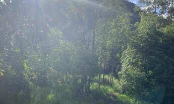 Imagem 3: CHACARA RURAL em PICADA CAFÉ - RS, Jammerthal