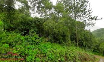 Imagem 4: AREA RURAL em NOVA PETRÓPOLIS - RS, Canto Akermann