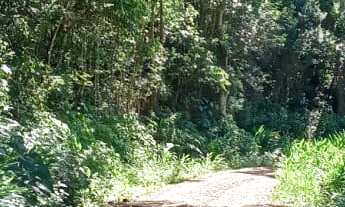 Imagem 5: AREA RURAL em NOVA PETRÓPOLIS - RS, Linha Brasil