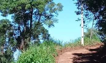 Imagem 7: AREA RURAL em NOVA PETRÓPOLIS - RS, Linha Brasil