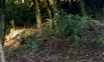 Imagem 6: TERRENO RESIDENCIAL em NOVA PETRÓPOLIS - RS, Bavária