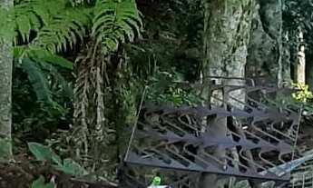 Imagem 5: TERRENO RESIDENCIAL em NOVA PETRÓPOLIS - RS, Bavária