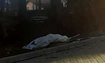 Imagem 3: TERRENO RESIDENCIAL em NOVA PETRÓPOLIS - RS, Bavária