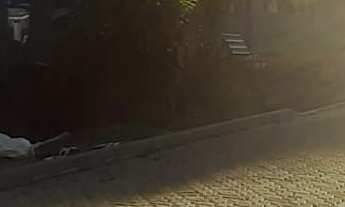 Imagem 4: TERRENO RESIDENCIAL em NOVA PETRÓPOLIS - RS, Bavária