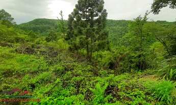 Imagem: AREA RURAL em NOVA PETRÓPOLIS - RS, Canto