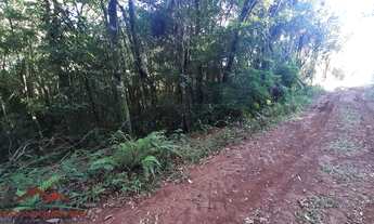 Imagem 5: AREA RURAL em NOVA PETRÓPOLIS - RS, Linha Imperial