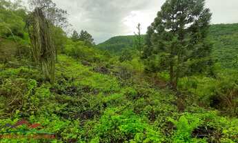 Imagem 7: AREA RURAL em NOVA PETRÓPOLIS - RS, Canto Akermann