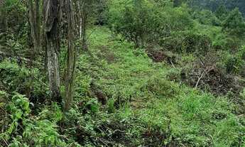 Imagem 6: AREA RURAL em NOVA PETRÓPOLIS - RS, Canto Akermann