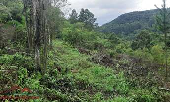 Imagem 5: AREA RURAL em NOVA PETRÓPOLIS - RS, Canto Akermann