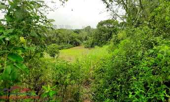 Imagem 4: AREA RURAL em NOVA PETRÓPOLIS - RS, Canto Akermann