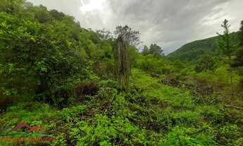 Imagem 4: AREA RURAL em NOVA PETRÓPOLIS - RS, Canto Akermann