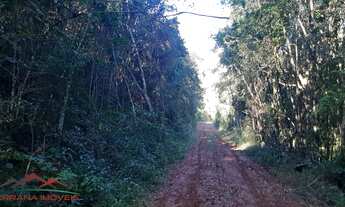 Imagem 7: AREA RURAL em NOVA PETRÓPOLIS - RS, Linha Imperial