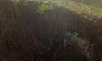 Imagem: TERRENO RESIDENCIAL em NOVA PETRÓPOLIS