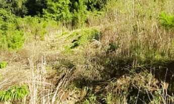 Imagem 7: TERRENO RESIDENCIAL em NOVA PETRÓPOLIS - RS, Bavária