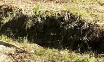 Imagem 2: TERRENO RESIDENCIAL em NOVA PETRÓPOLIS - RS, Bavária