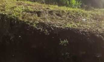 Imagem 6: TERRENO RESIDENCIAL em NOVA PETRÓPOLIS - RS, Bavária