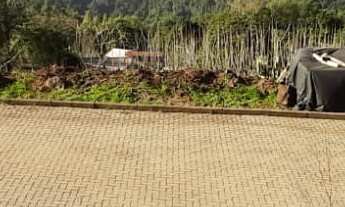 Imagem: TERRENO RESIDENCIAL em NOVA PETRÓPOLIS