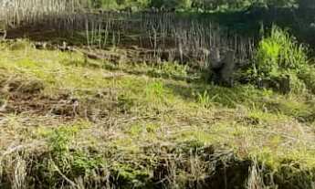 Imagem 4: TERRENO RESIDENCIAL em NOVA PETRÓPOLIS - RS, Bavária