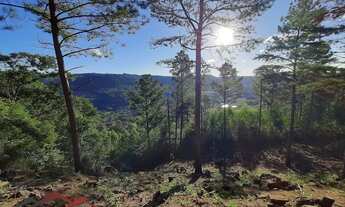 Imagem: SITIO RURAL em NOVA PETRÓPOLIS - RS, Linha