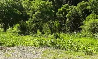 Imagem: TERRENO RESIDENCIAL em PICADA CAFÉ - RS