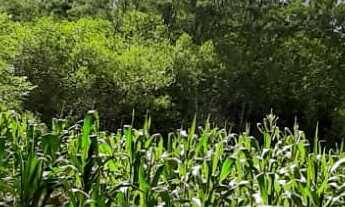 Imagem 7: AREA RURAL em LINHA NOVA - RS, Canto Bayer