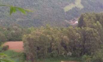 Imagem: AREA RURAL em LINHA NOVA - RS, Canto Bayer