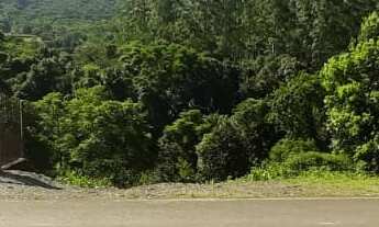 Imagem 4: TERRENO RESIDENCIAL em PICADA CAFÉ - RS, São João