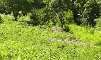 Imagem 5: TERRENO RESIDENCIAL em PICADA CAFÉ - RS, São João