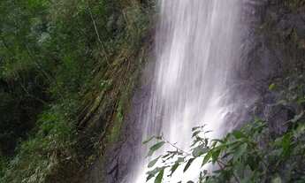 Imagem 3: AREA RURAL em LINHA NOVA - RS, Canto Bayer