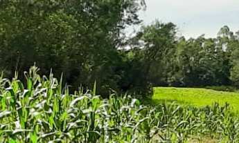 Imagem 6: AREA RURAL em LINHA NOVA - RS, Canto Bayer