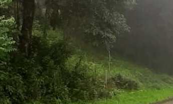 Imagem: TERRENO RESIDENCIAL em NOVA PETRÓPOLIS