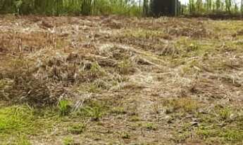 Imagem: TERRENO RESIDENCIAL em NOVA PETRÓPOLIS