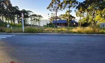 Imagem: TERRENO RESIDENCIAL em NOVA PETRÓPOLIS