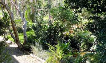 Imagem 4: SITIO RURAL em Picada Café - RS, Quatro Cantos