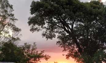 Imagem 2: SITIO RURAL em Picada Café - RS, Quatro Cantos