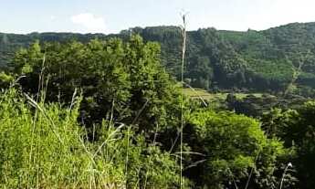 Imagem 2: CHACARA RURAL em NOVA PETRÓPOLIS - RS, Linha Brasil