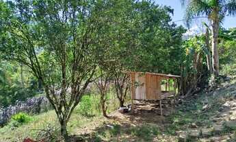 Imagem 7: SITIO RURAL em PICADA CAFÉ - RS, Joaneta