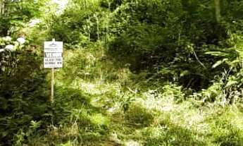 Imagem 5: AREA RURAL em NOVA PETRÓPOLIS - RS, Linha Brasil